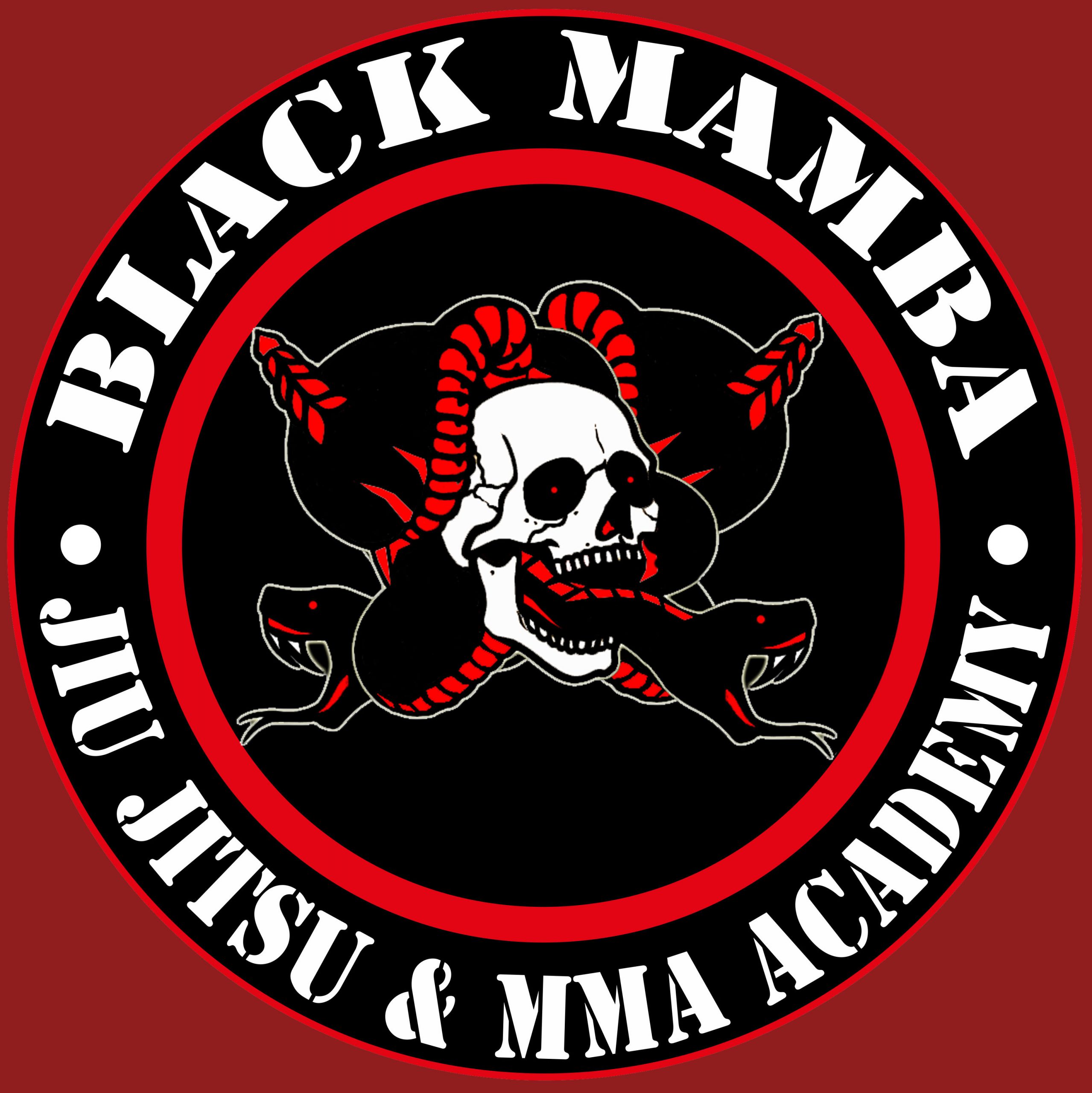 blackmambajiujitsu.com